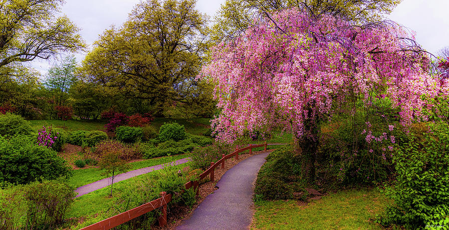 Highland Park by Mark Papke Highland Park by Mark Papke