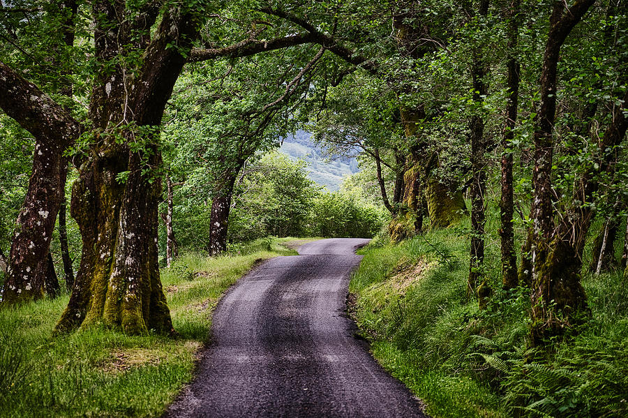 Highland Road - Scotland Photograph by Stuart Litoff