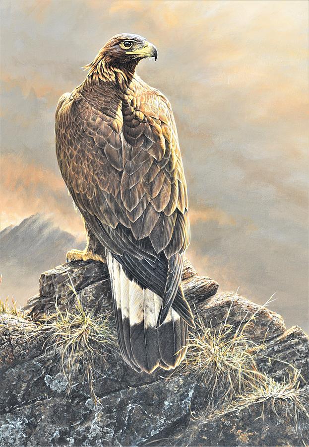 Highlander - Golden Eagle Painting