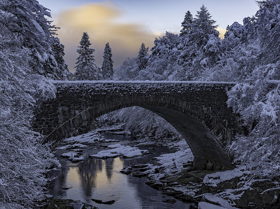 Tree Photograph - Highlands Bridge by Rob Darby
