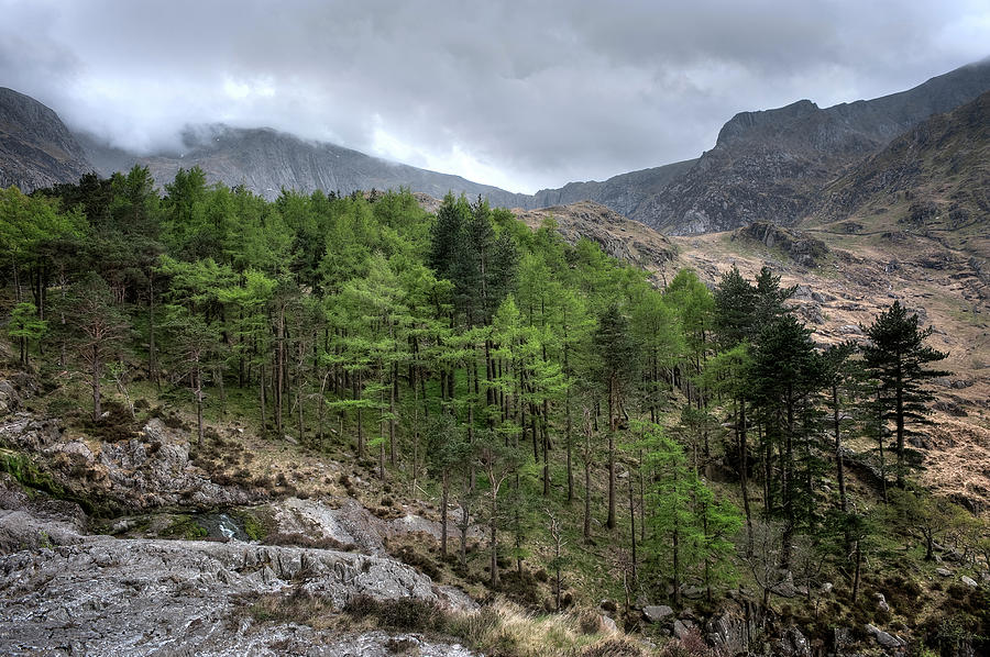 Highlands Of Scotland Photograph by Dominik Staszowski