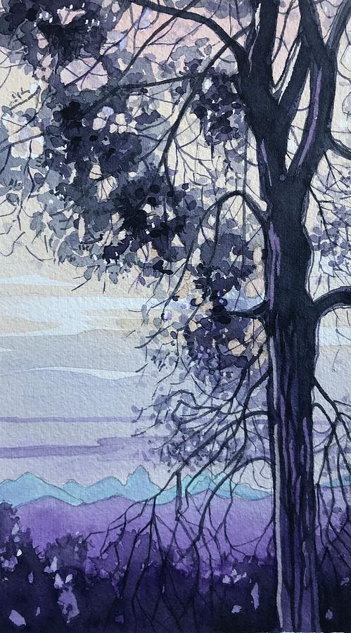 Carmel Painting - Highpoint Pine by Luisa Millicent