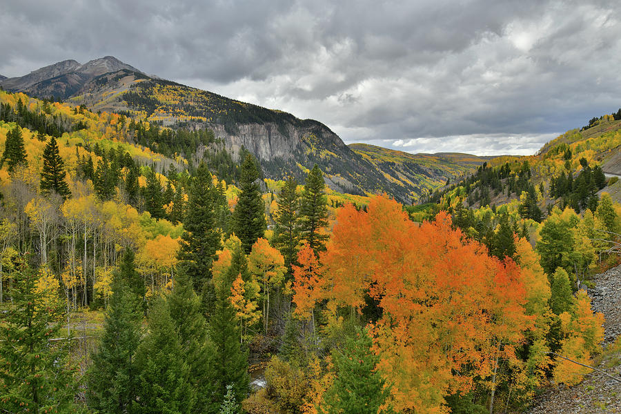 Highway 145 Fall Colors near Ophir Road in CO Photograph by Ray Mathis