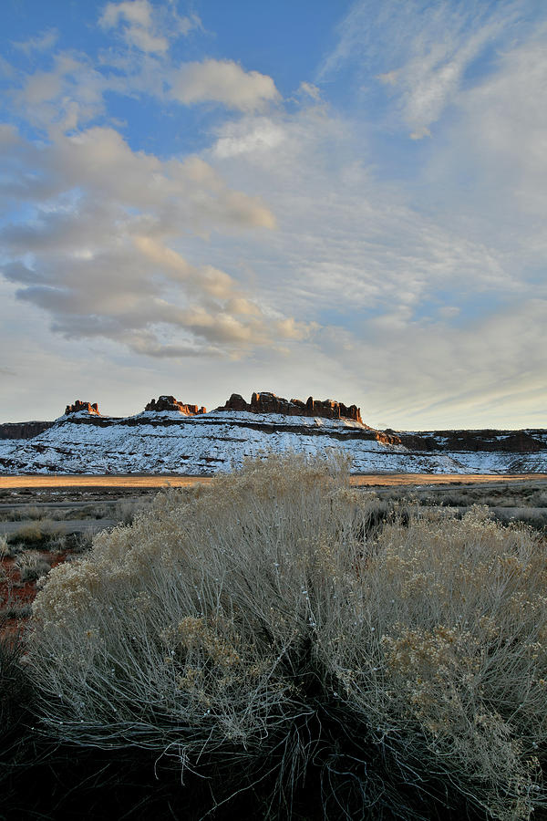 Highway 313 Rest Area near Moab Utah Photograph by Ray Mathis
