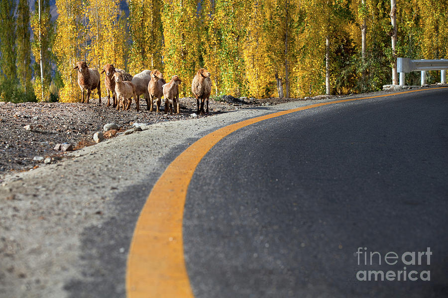 Highway Story by Awais Yaqub Highway Story by Awais Yaqub