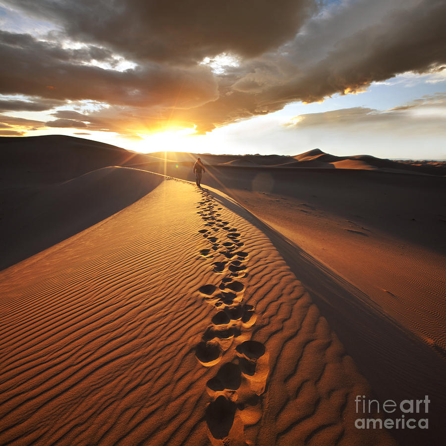 Namib Photograph - Hike In Namib Desert by Galyna Andrushko Namib Photograph - Hike In Namib Desert by Galyna Andrushko