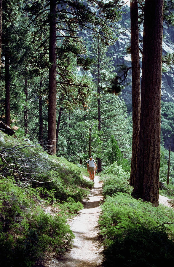 Hiker On Trail To Chilnuaha Falls Photograph by Medioimages/photodisc