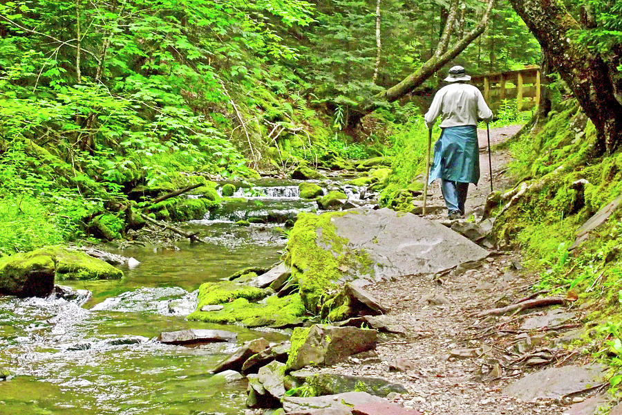 Hiking On Dickson Creek Trail In Fundy National Park, New Brunswick ...