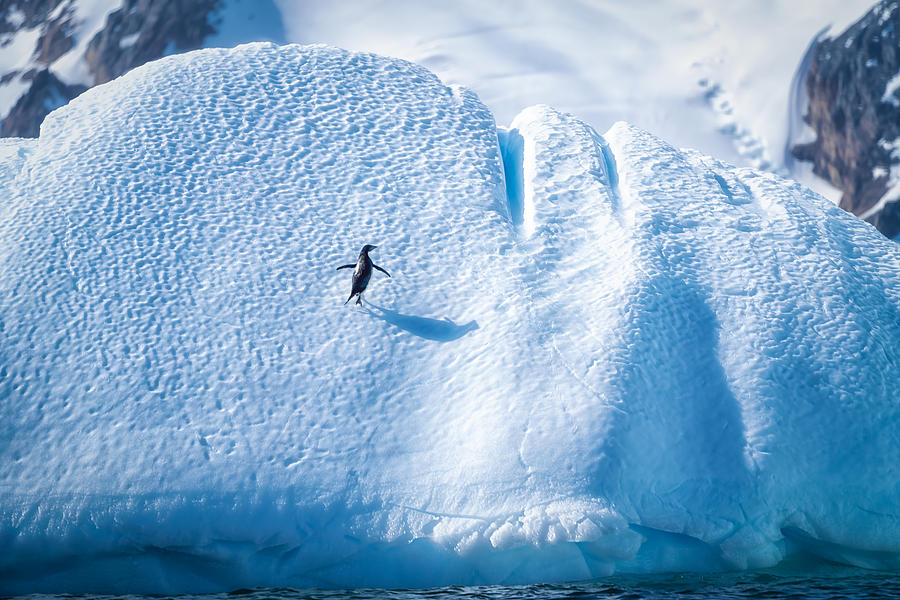 Hiking On Ice Cliff Photograph by Yu Mao - Pixels