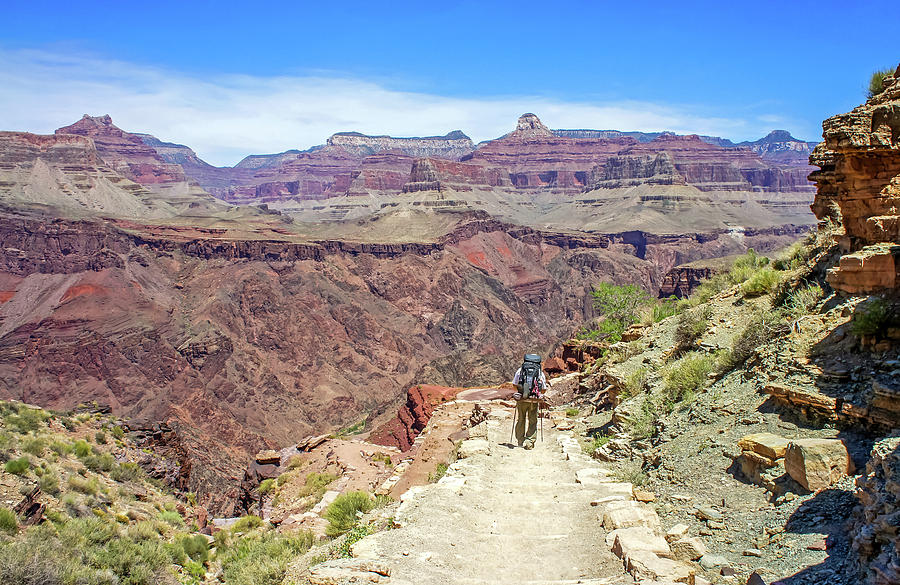 Hiking on the lower South Kaibab Trail Photograph by Dawn Richards