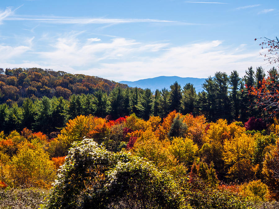 Hiking on the Max Patch Trail in North Carolina Photograph by L Bosco