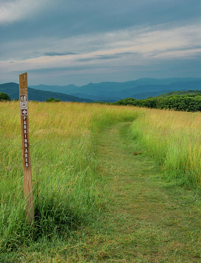 Hiking the Appalachian Trail Photograph by Marcy Wielfaert