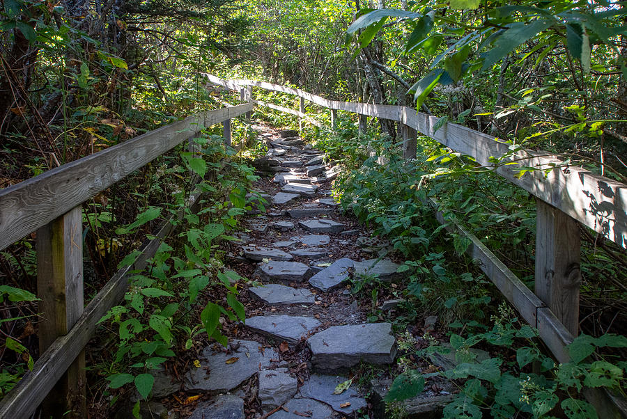 Hiking the Mountain to Sea Trail Along the Blue Ridge Parkway Photograph by L Bosco