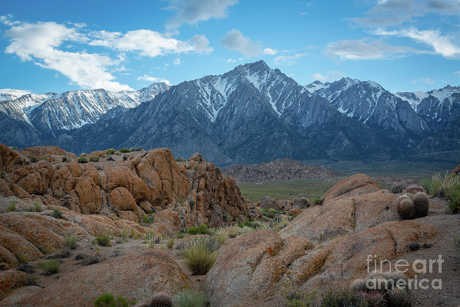 Hiking To Mount Whitney  Photograph by Michael Ver Sprill