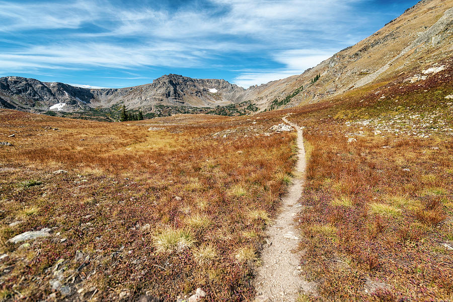 Fall Photograph - Hiking Trail In The Indian Peaks Wilderness by Cavan Images