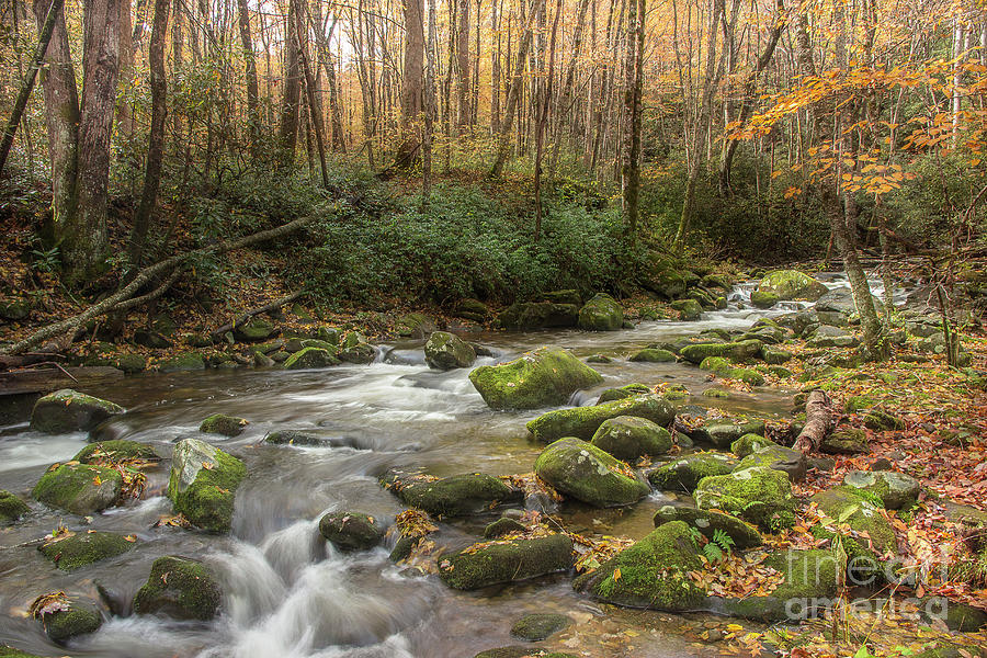 Stream Photograph - Hiking Upstream by Mike Eingle