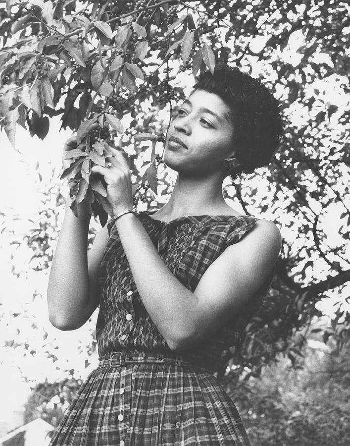 Hilda G. Harris Standing Near Tree Photograph by North Carolina Central University