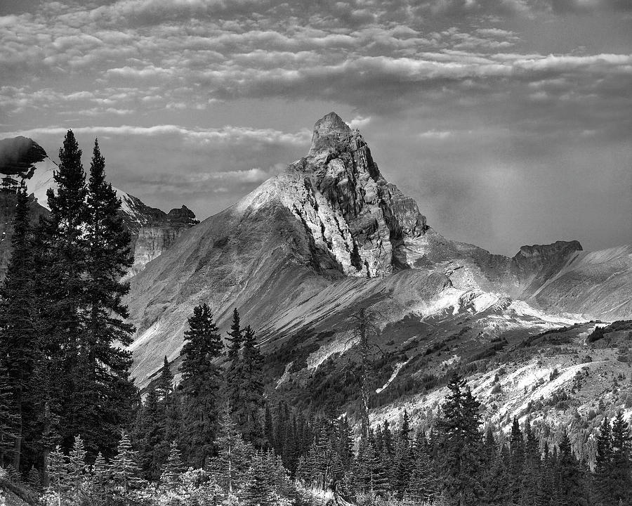 Hilda Peak Banff National Park Photograph by Tim Fitzharris