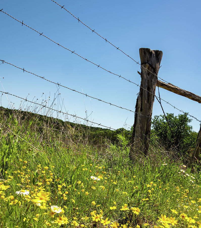 Hill Country Fence Post and Barbwire Photograph by JG Thompson - Fine Art  America