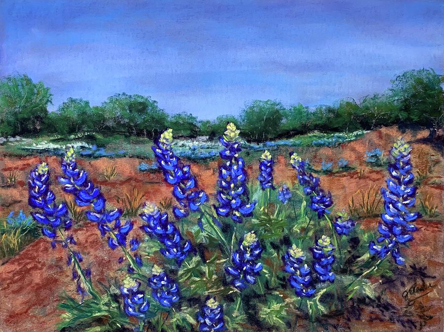 Hill Country Spring Painting by Jan Chesler