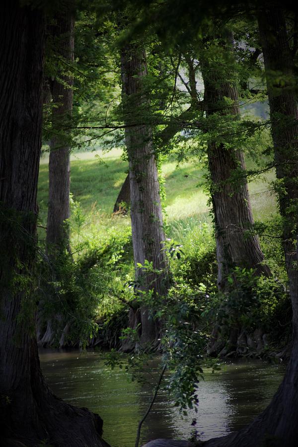 Hill Country Stream Photograph by John Glass