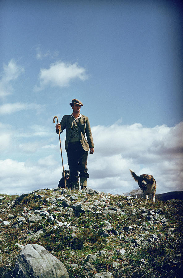 Hill Shepherd Photograph by Bert Hardy
