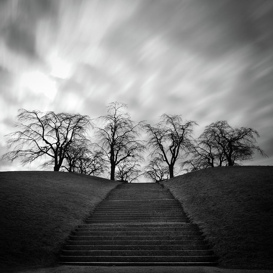 Hill, Stairs And Trees Photograph by Peter Levi