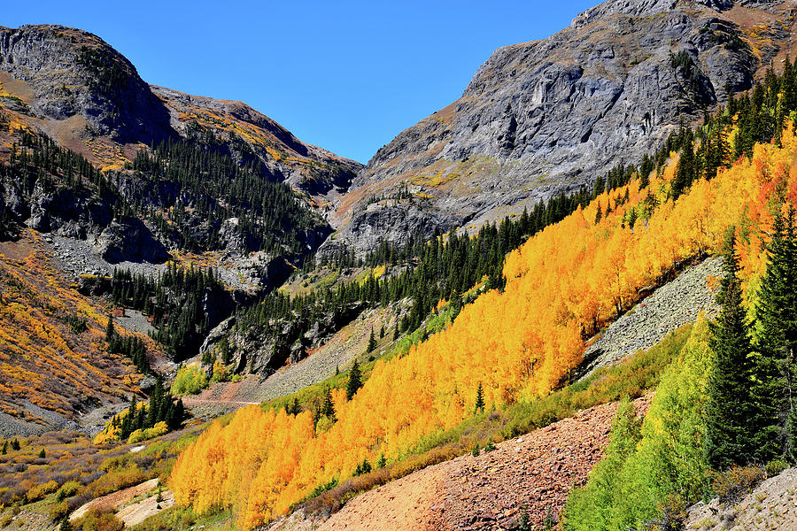 Hills of Aspens near Silverton CO Photograph by Ray Mathis