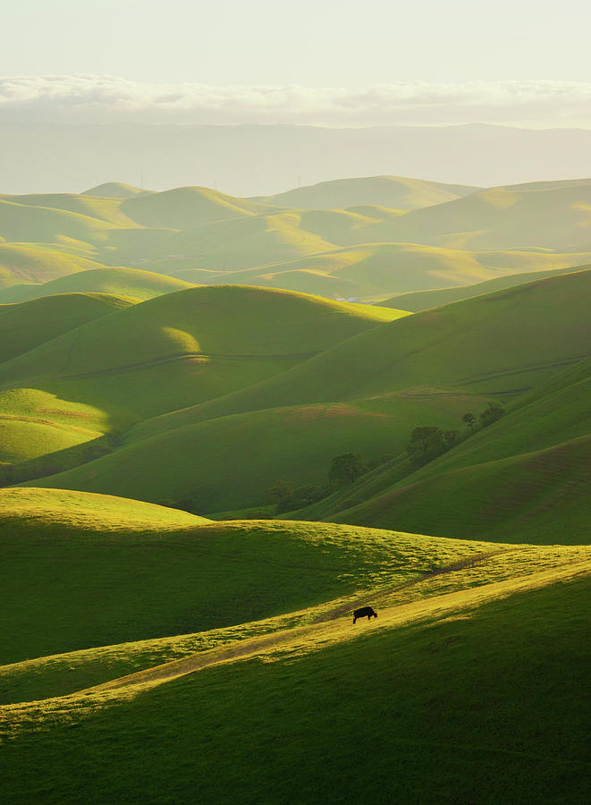 Hills Of East Bay Photograph by By Sathish Jothikumar