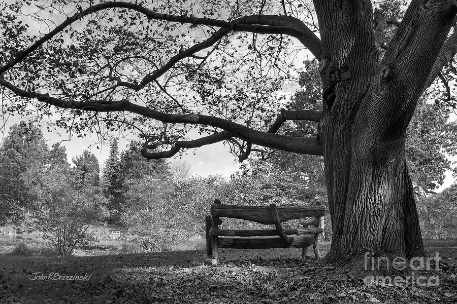 Hillsdale College Slayton Arboretum Photograph by University Icons