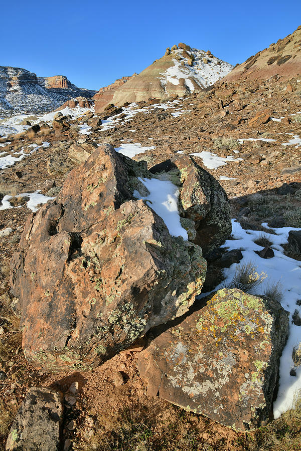 Hillside Boulders of Ruby Mountain Photograph by Ray Mathis