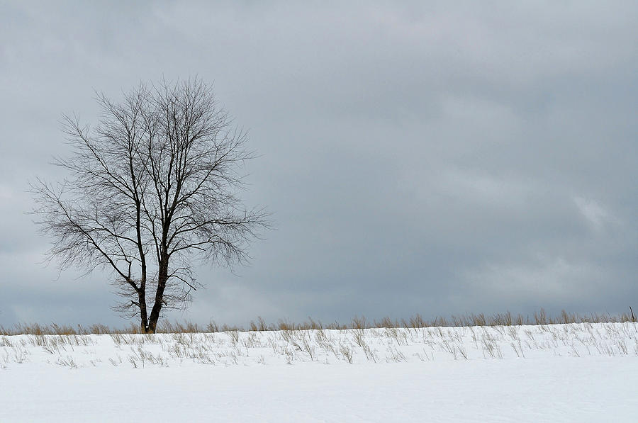 Hillside Farm Winter Photograph by JAMART Photography