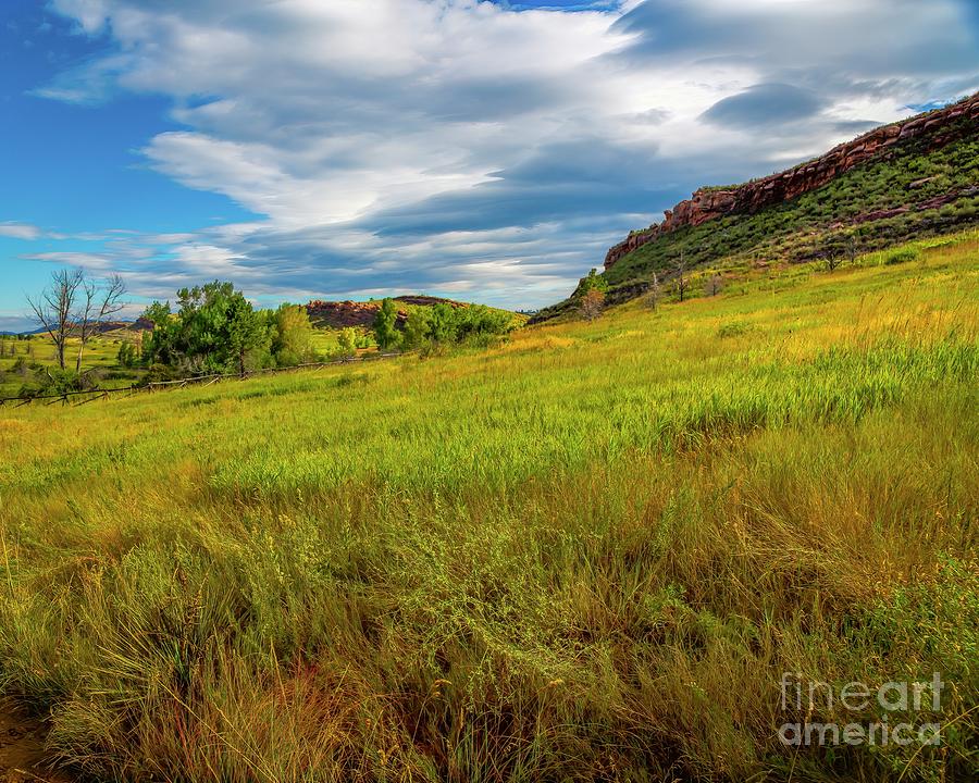 Hillside by Jon Burch Photography Hillside by Jon Burch Photography