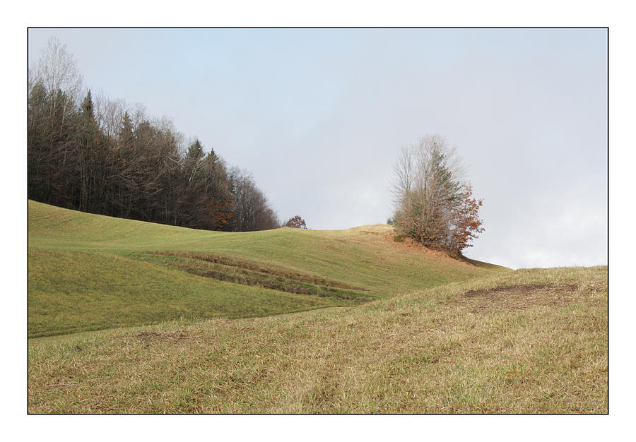 Rural Landscape Photograph - Hilltop Hayfield by David Wilde Rural Landscape Photograph - Hilltop Hayfield by David Wilde