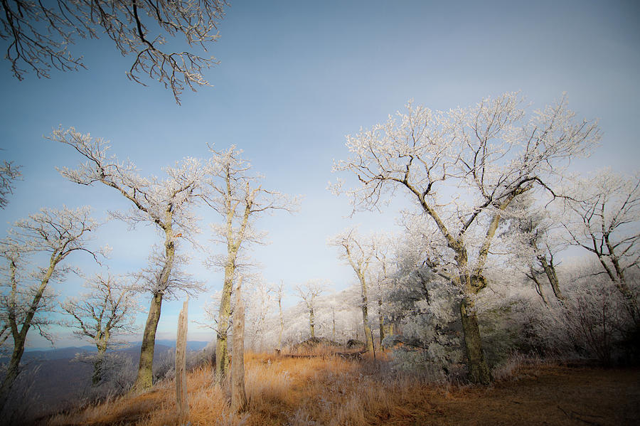 Hilltop Hoarfrost Photograph by Mark Duehmig