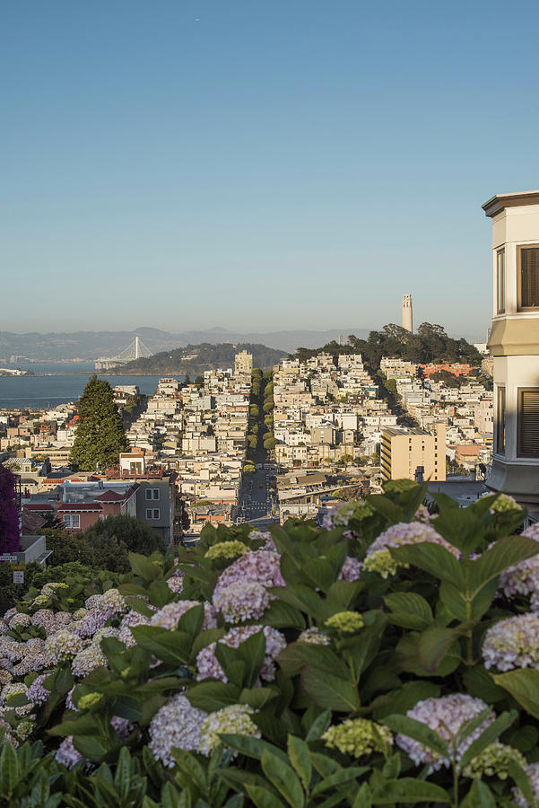 Nature Digital Art - Hilltop View Of San Francisco, Usa by Wonwoo Lee
