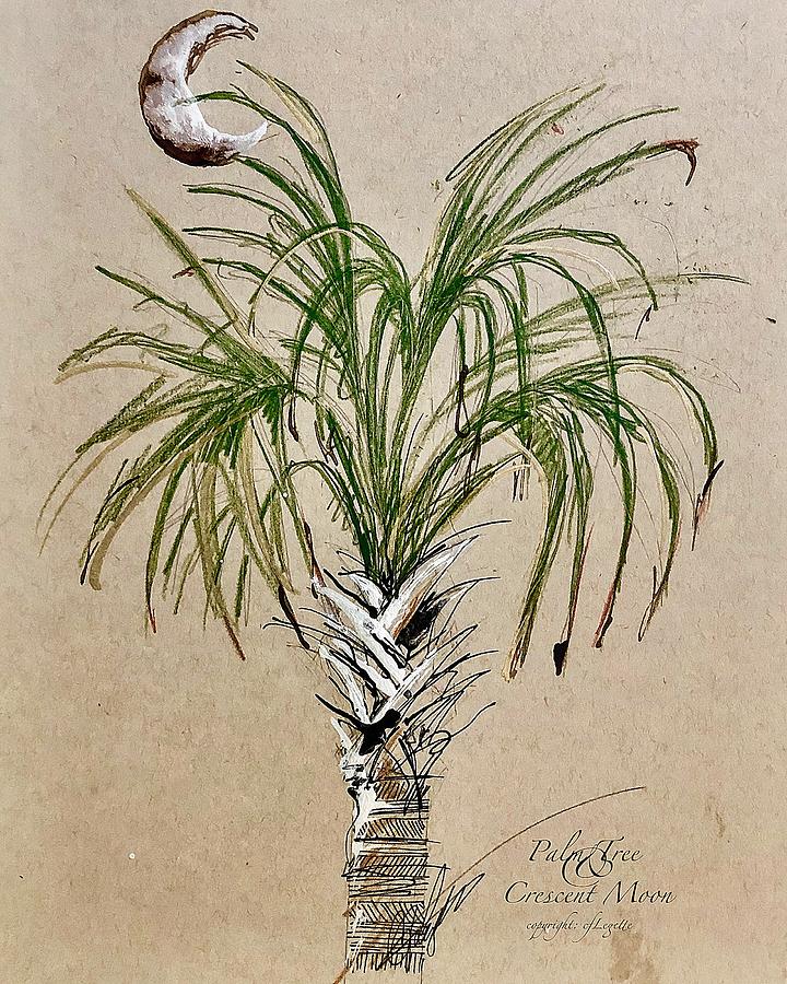 HiltonHead Palm Tree Study Drawing by C F Legette