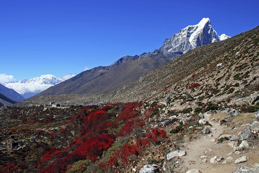 Himalayan Landscape Photograph by Pal Teravagimov Photography