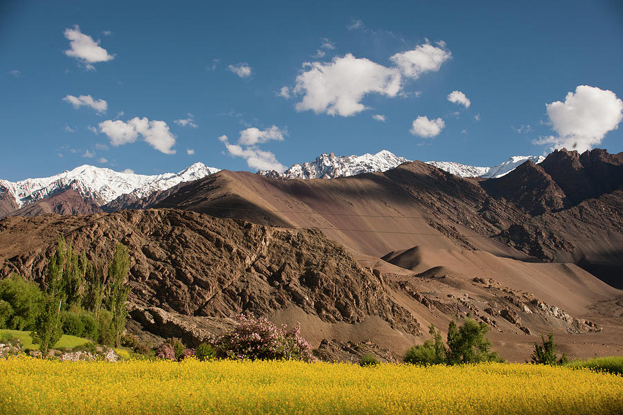 Himalayan Of Kargil Photograph by Ajay K Shah