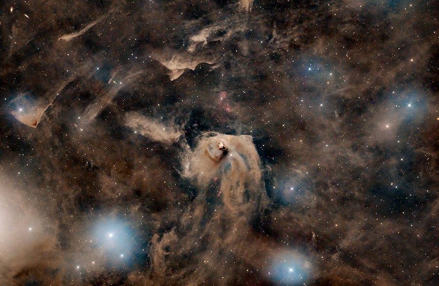 Hinds Variable Nebula Photograph by Vikas Chander