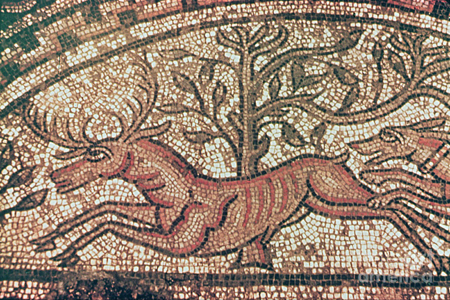 Deer Painting - Hinton St Mary Pavement, Mosaic by Roman