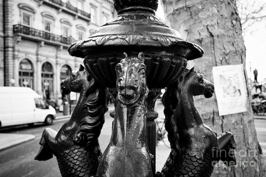 Seahorse Photograph - hippocampus detail on lamp cast iron lamp standard college green Dublin Republic of Ireland Europe by Joe Fox