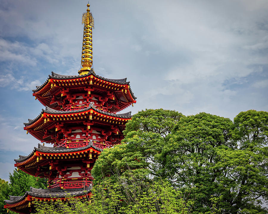 Hiramanji Pagoda Photograph by Bill Chizek