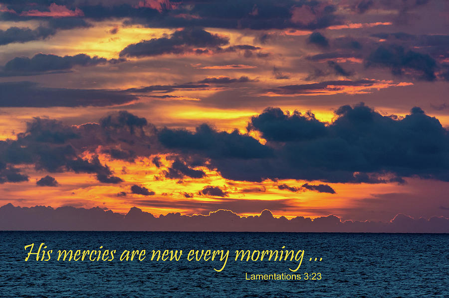 His mercies are new every morning Photograph by Douglas Wielfaert