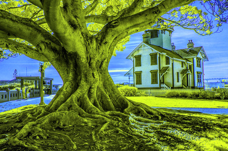 Historic Fermin Point Lighthouse in Infrared by Los Angeles California Photograph by Randall Nyhof