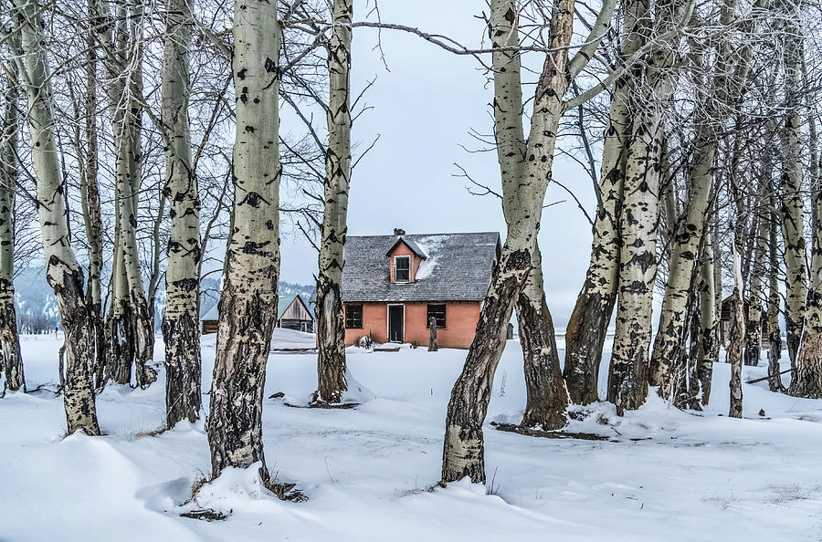 Winter Photograph - Historic Mormons Row in Teton National Park by Jason Sponseller Winter Photograph - Historic Mormons Row in Teton National Park by Jason Sponseller