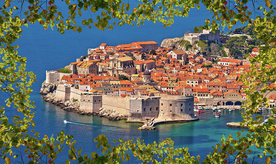 Historic town of Dubrovnik panoramic viewthrough leaf frame Photograph by Brch Photography