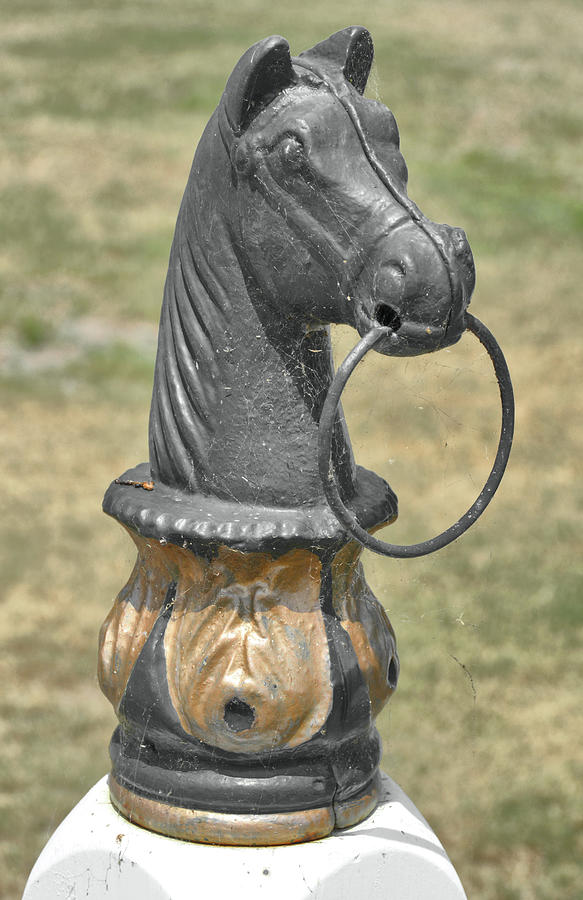 Horse Photograph - Hitch Post by JAMART Photography