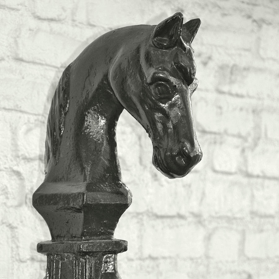 Hitching Post Art Photograph by Dressage Design