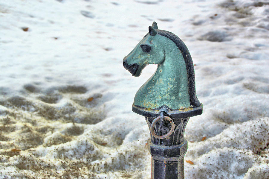 Up Movie Photograph - Hitching Post by JAMART Photography